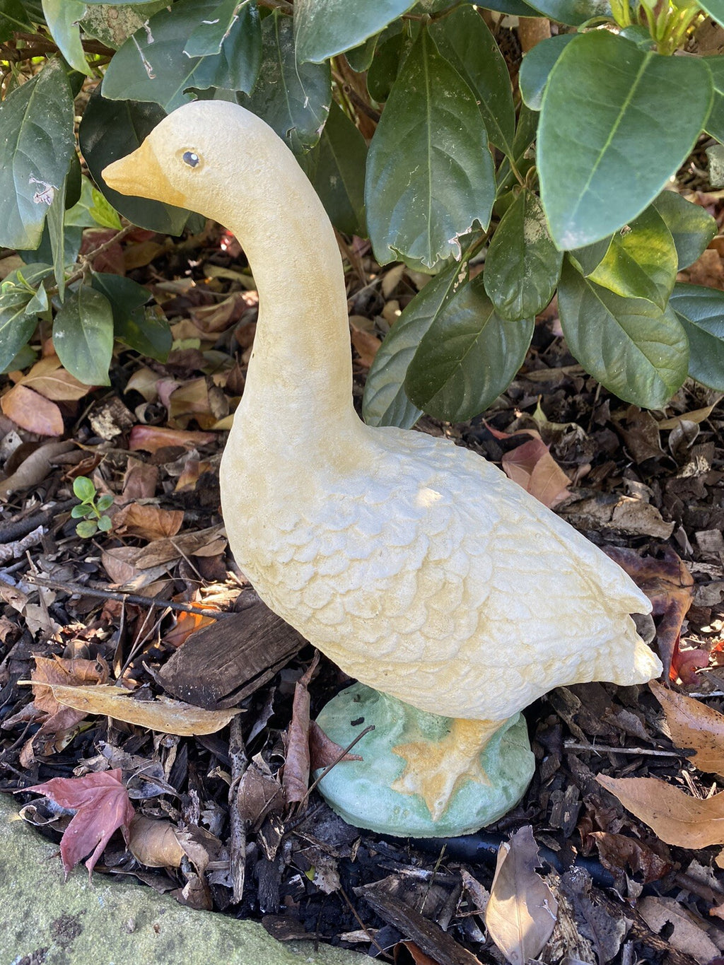 Duck Duckling Fowl Statue Ornament Farm Animal Concrete Garden Australian Made