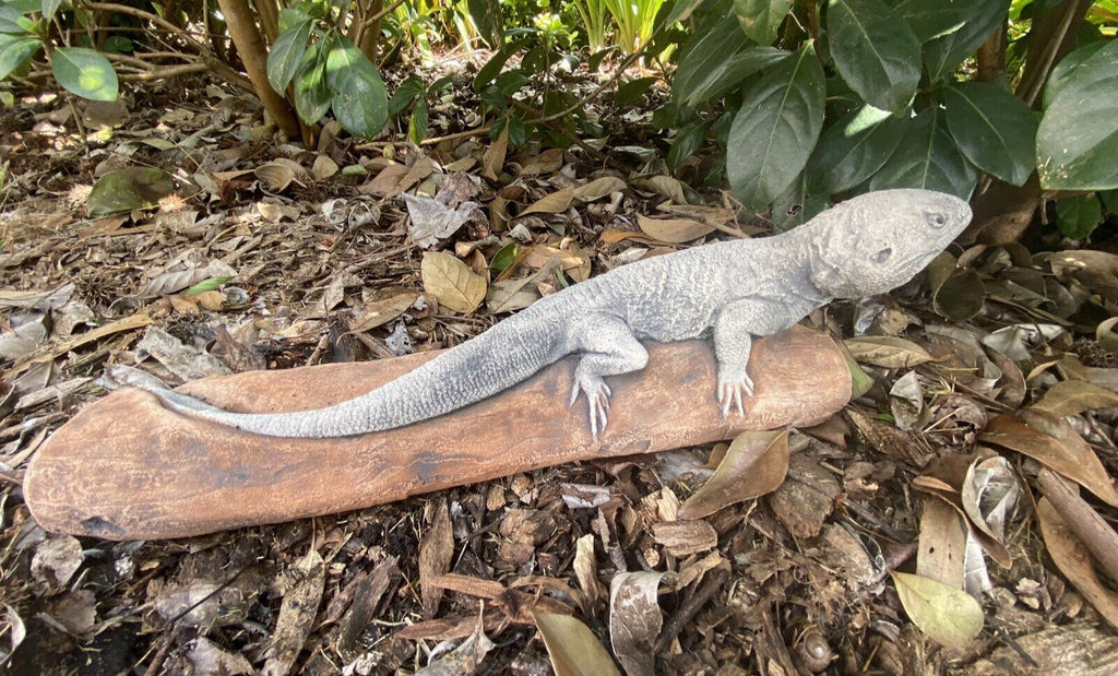 Bearded Dragon Lizard Statue Ornament Animal Concrete Garden Australian Made