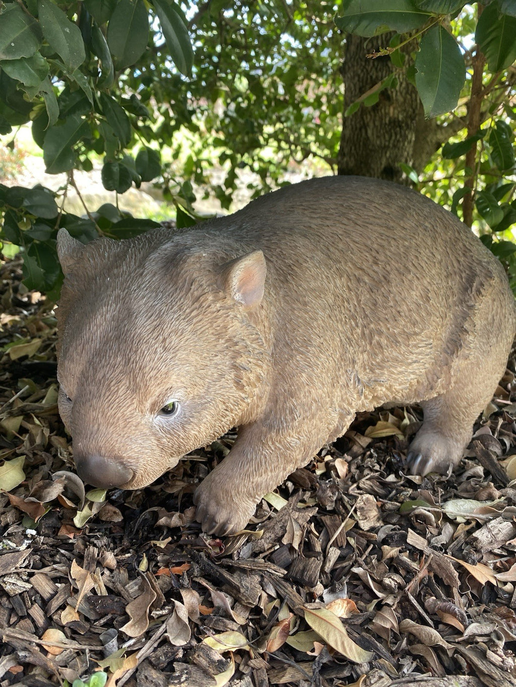 AUSTRALIAN STANDING WOMBAT ANIMAL GARDEN STATUE ORNAMENT FIGURINE