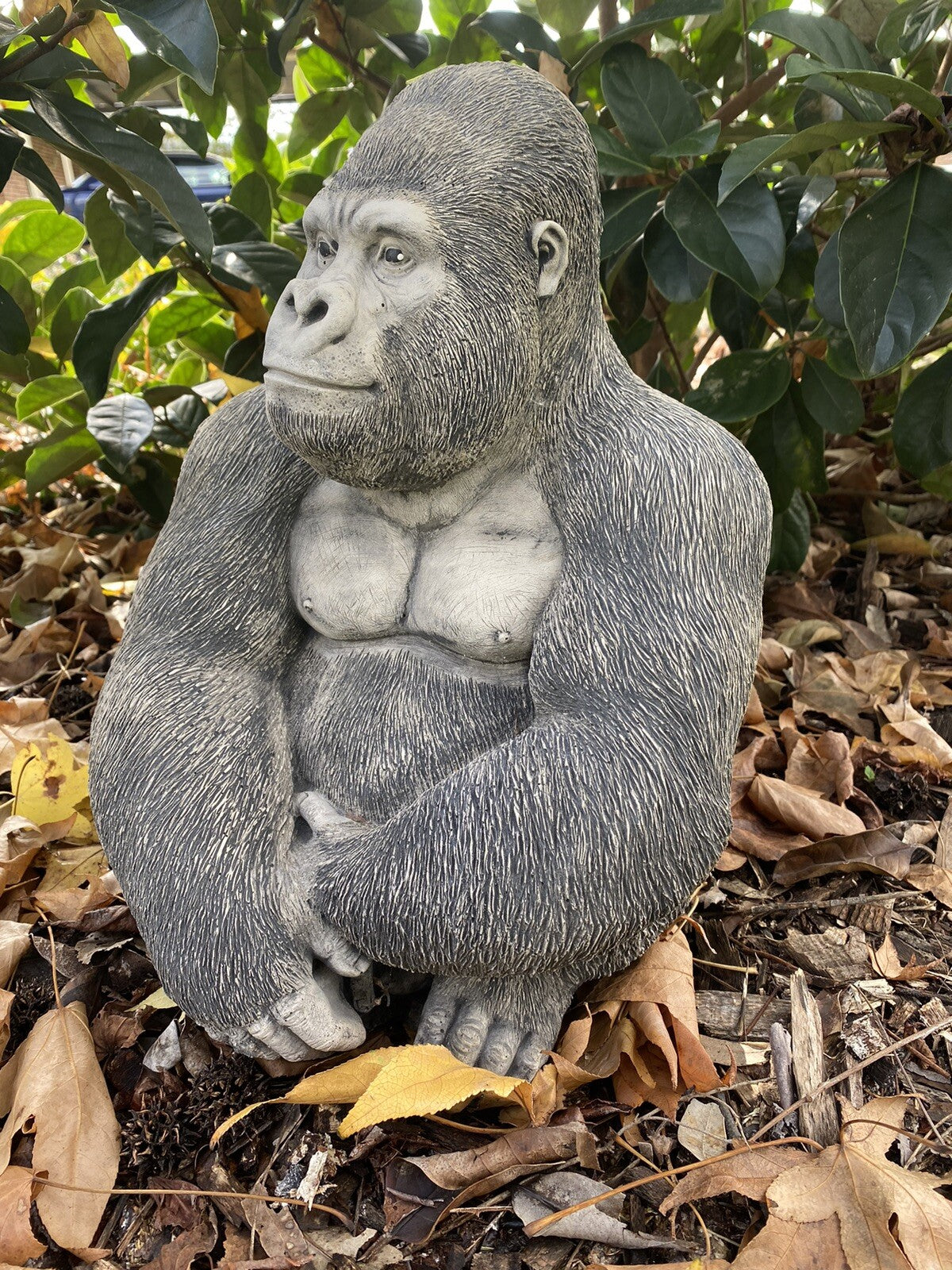 Gorilla Ape Monkey Statue Ornament Animal Concrete Cement Garden Australian Made