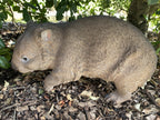 AUSTRALIAN STANDING WOMBAT ANIMAL GARDEN STATUE ORNAMENT FIGURINE