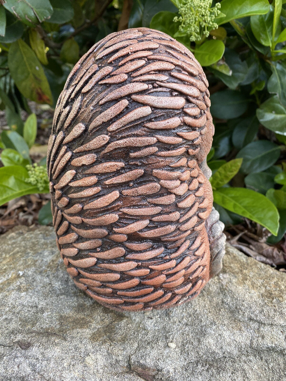 Echidna Sitting Garden Statue Ornament Animal Concrete Cement Australian Made