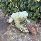 Green Tree Frog On A Log  Animal Concrete Cement Garden Statue Australian Made