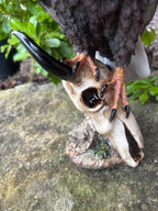 EAGLE PERCHED ON SKULL BIRD ANIMAL GARDEN STATUE ORNAMENT FIGURINE
