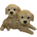 CAVOODLE STATUE CREAM PUPPY DOG ANIMAL GARDEN ORNAMENT SCULPTURE MONAY BOX