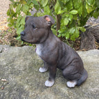 STAFFORDSHIRE -STAFFY PUPPY DOG ANIMAL MEMORIAL GARDEN STATUE ORNAMENT