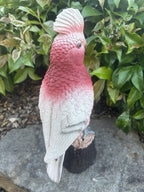 Resin Galah Parrot Bird Garden Statue Australian Bird Ornament 30cm
