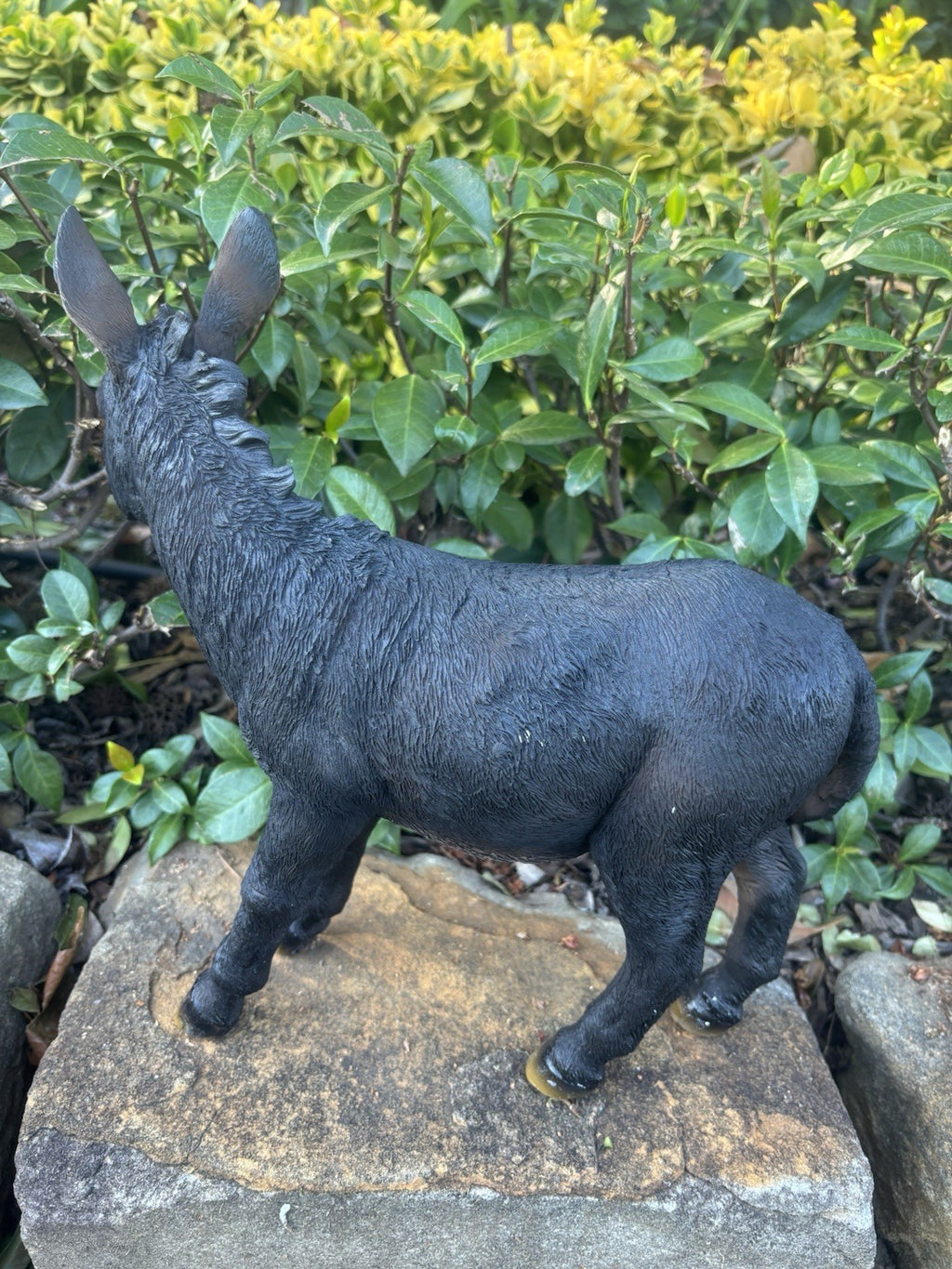 Resin Donkey Garden Statue | Farm Animal Ornament | Indoor & Outdoor Décor