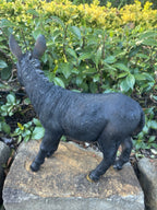 Resin Donkey Garden Statue | Farm Animal Ornament | Indoor & Outdoor Décor