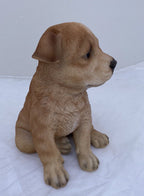 RED CATTLE DOG HEELER STATUE PUPPY MEMORIAL ANIMAL GARDEN ORNAMENT SCULPTURE