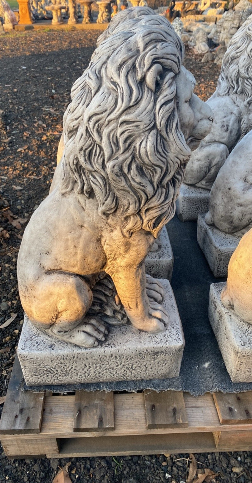 Guardian Lion Statue Concrete Cement Garden Statue Australian Made 75cm