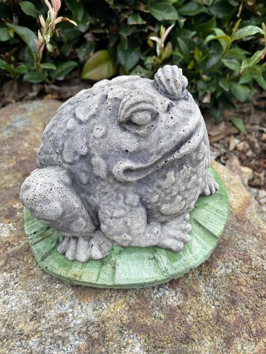 Smiling Frog  Animal Concrete Cement Garden Statue Australian Made