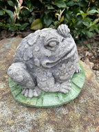 Smiling Frog  Animal Concrete Cement Garden Statue Australian Made