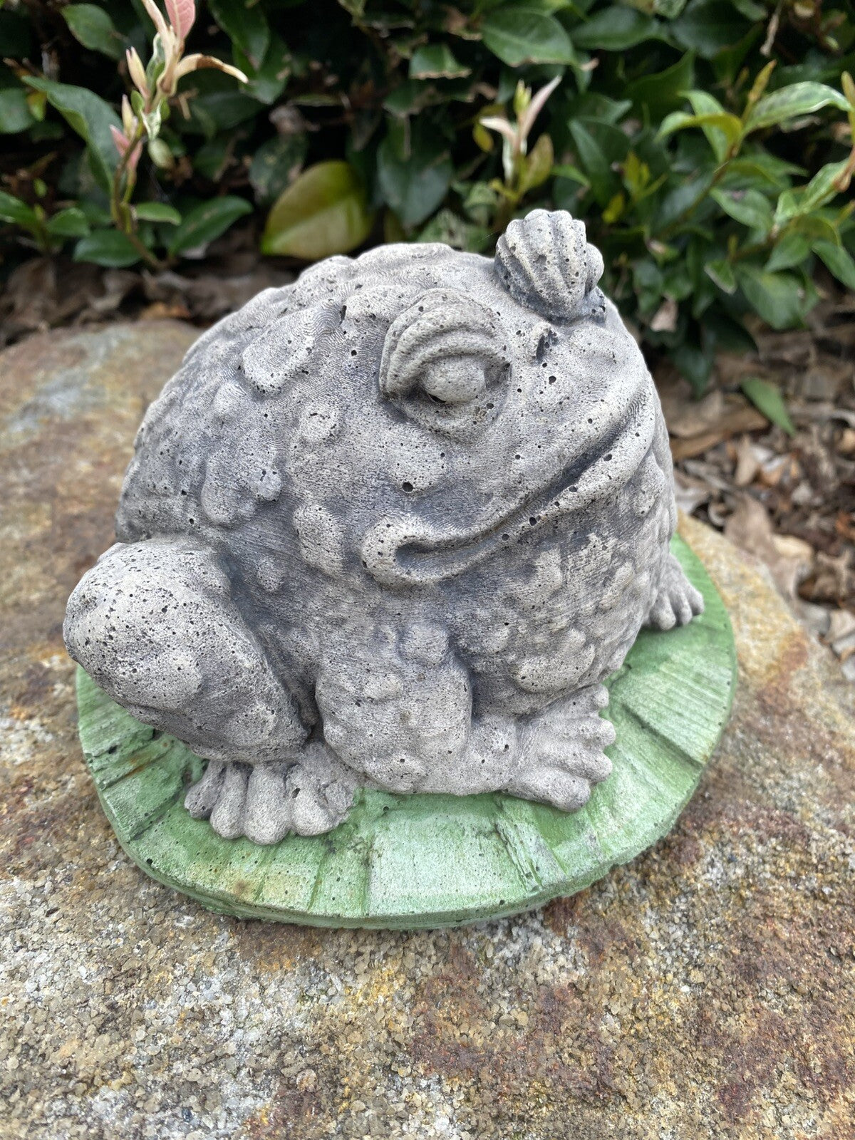 Smiling Frog  Animal Concrete Cement Garden Statue Australian Made