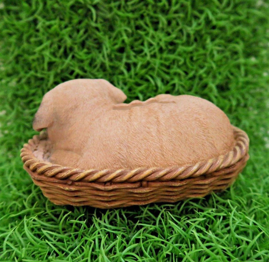 Brown Dog Puppy Pug Asleep In Basket Ornament ~ Statue ~Home Decor