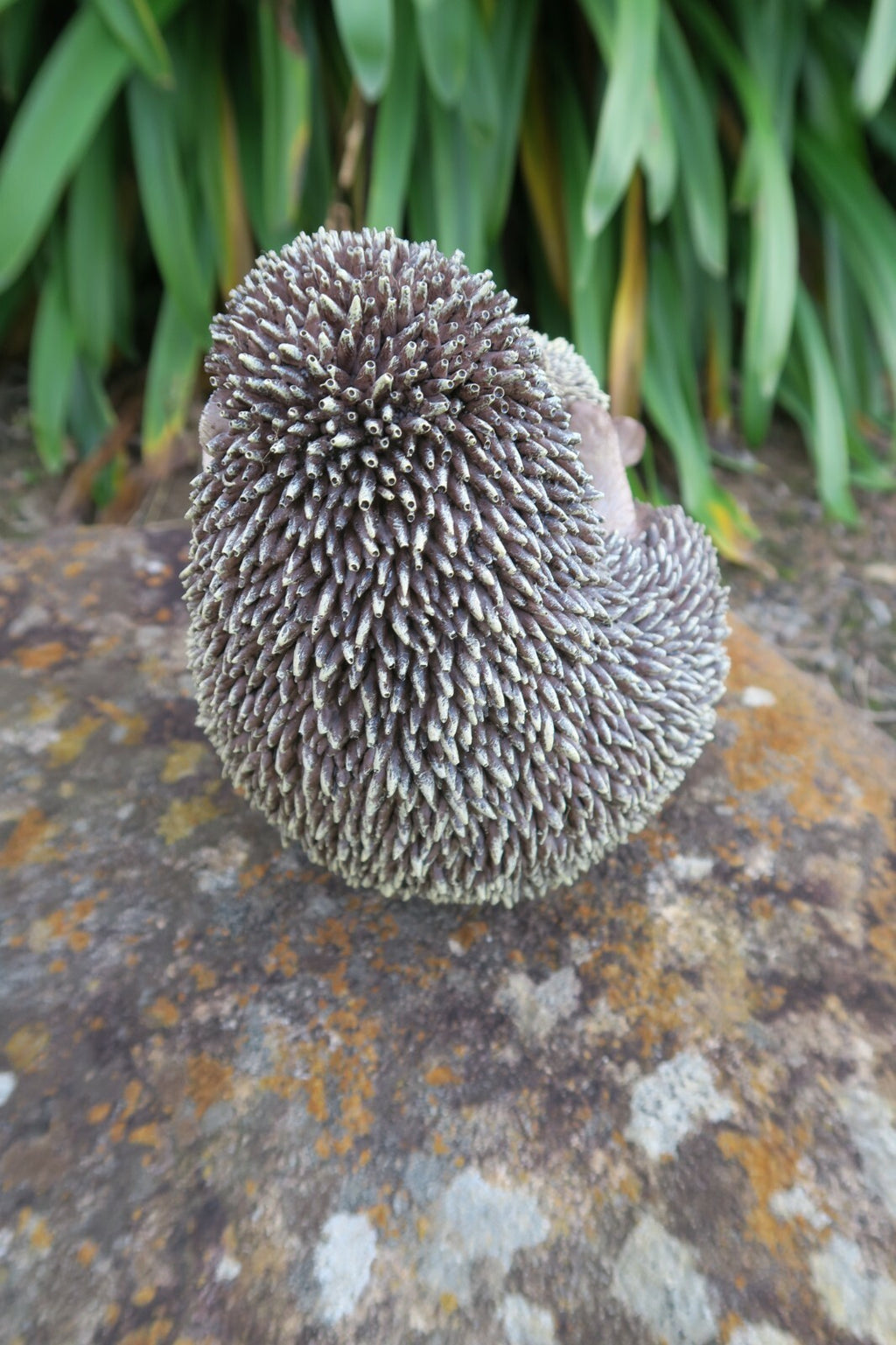 PORCUPINE ANIMAL GARDEN STATUE ORNAMENT FIGURINE