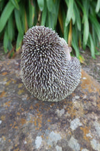 PORCUPINE ANIMAL GARDEN STATUE ORNAMENT FIGURINE