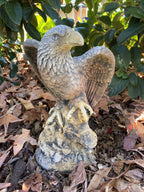 Bold Eagle Bird Statue Ornament Animal Concrete Garden Australian Made