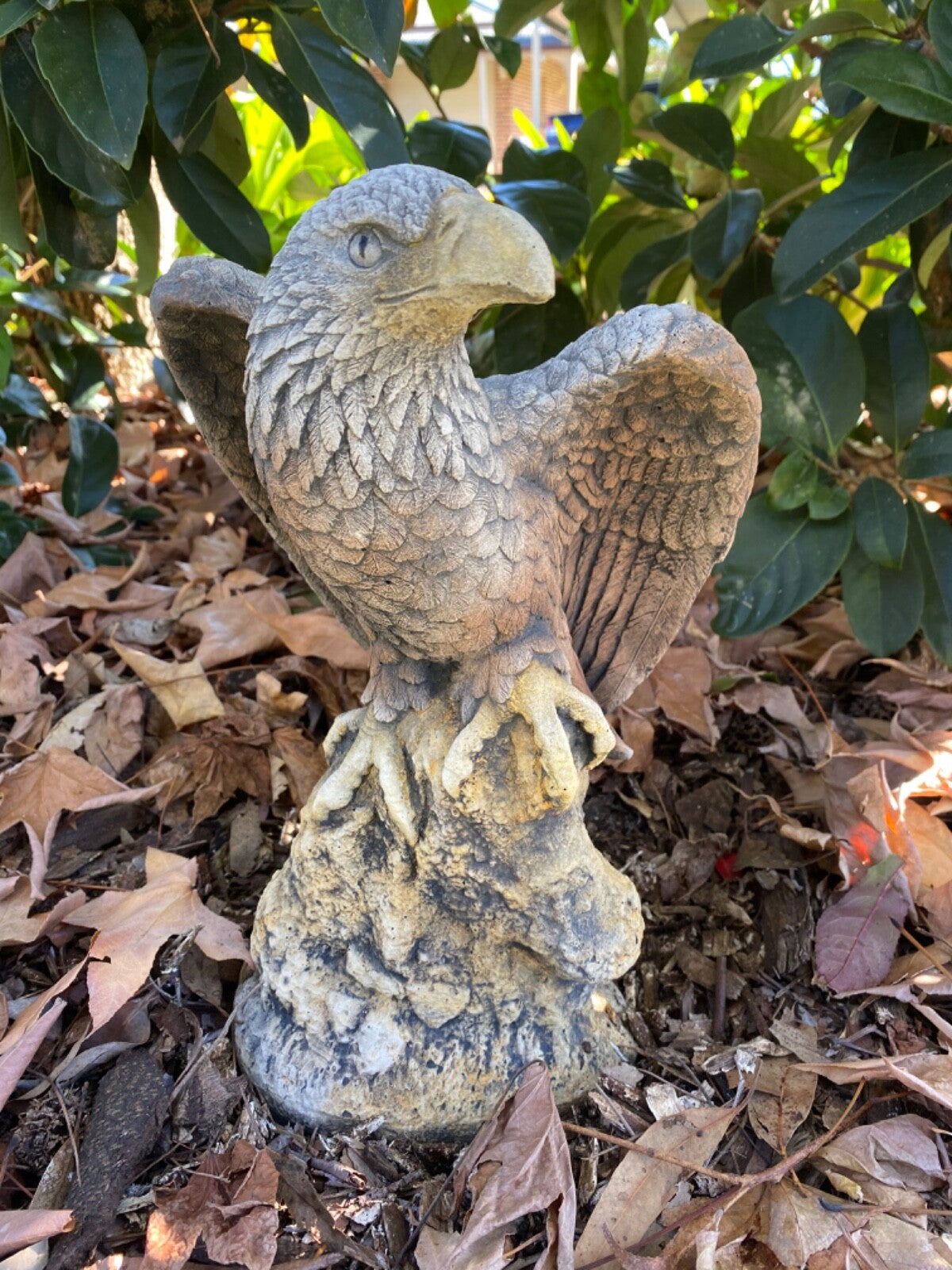 Bold Eagle Bird Statue Ornament Animal Concrete Garden Australian Made