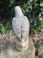 Eagle Bird Statue Ornament Animal Concrete Garden Australian Made