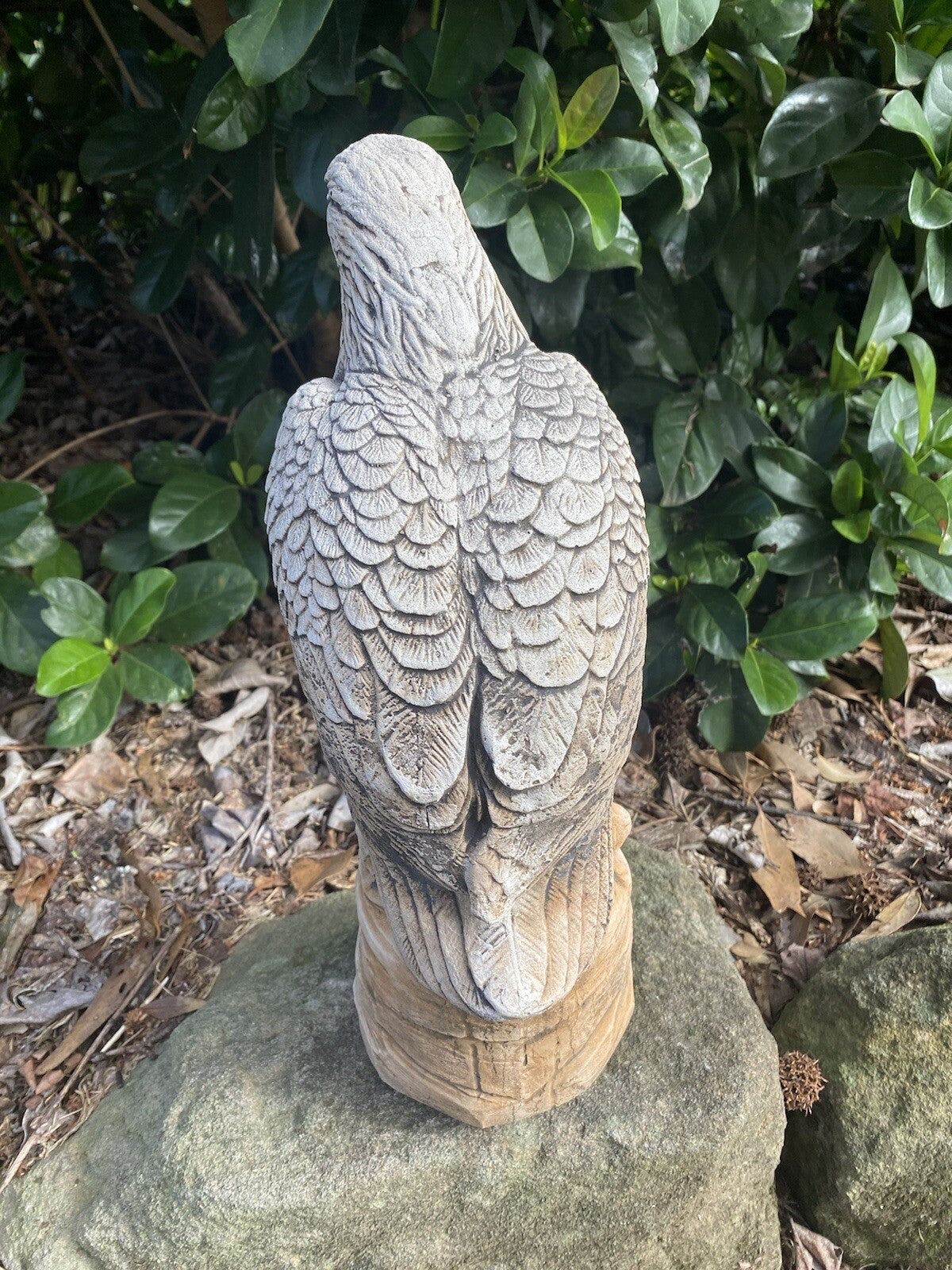Eagle Bird Statue Ornament Animal Concrete Garden Australian Made