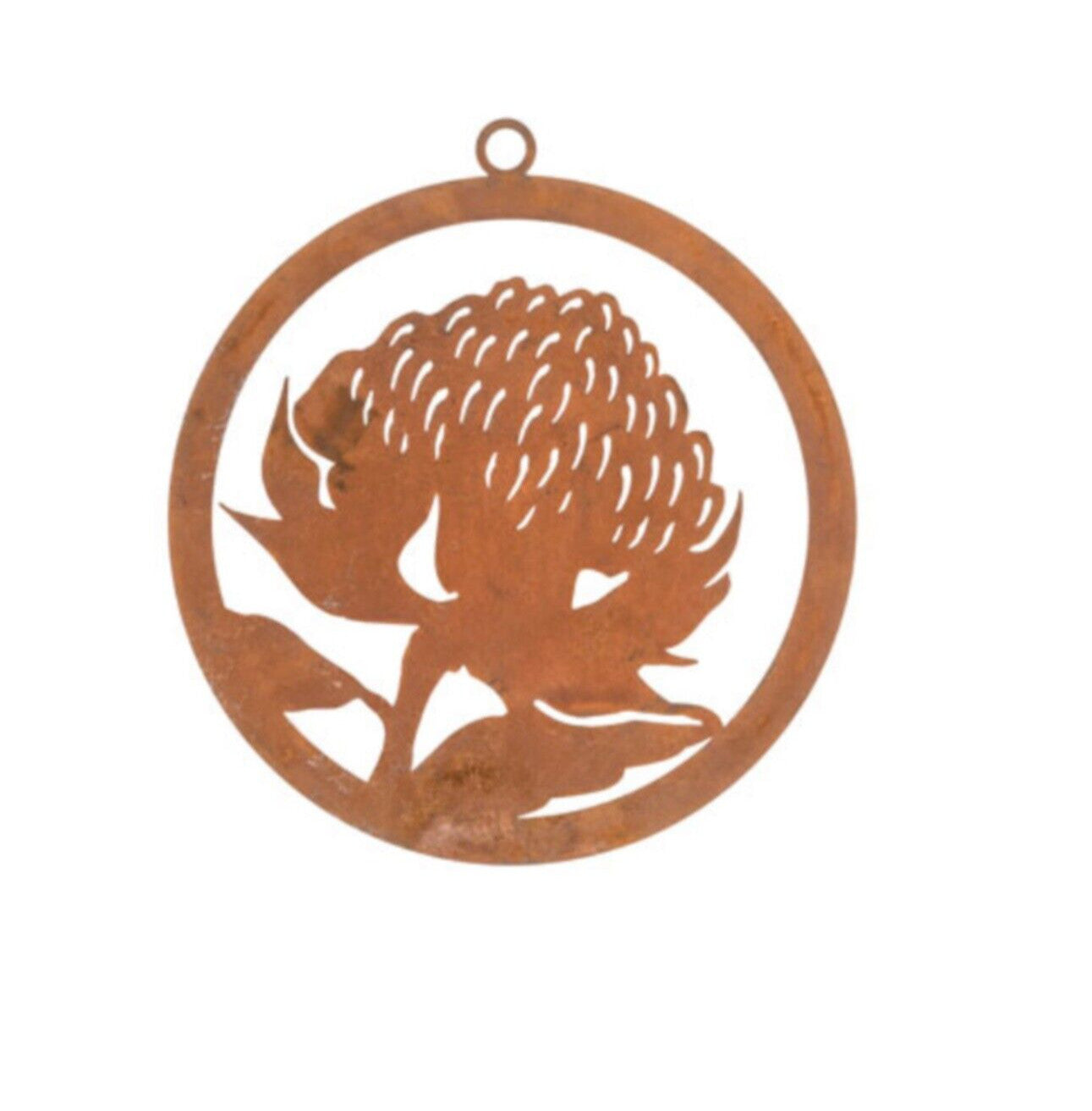 Australian Waratah Flower Round Rust Corten Steel Metal Hanging Décor 28cm