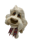 Little Paws - Winnie The Poodle Cocapoo Cross Cavoodle Pets With Personality