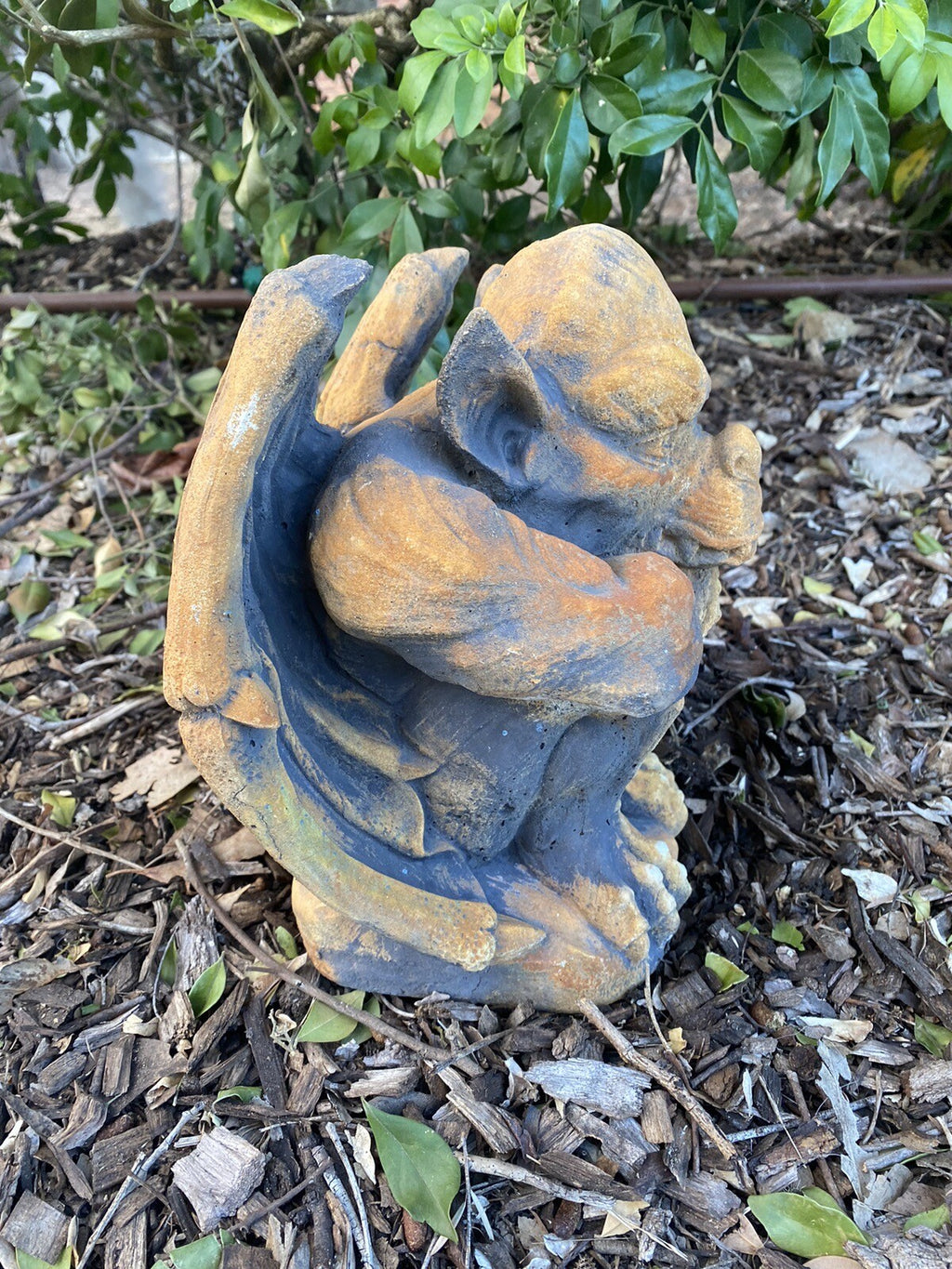 Gargoyle Statue Animal Concrete Cement Garden Australian Made Gery