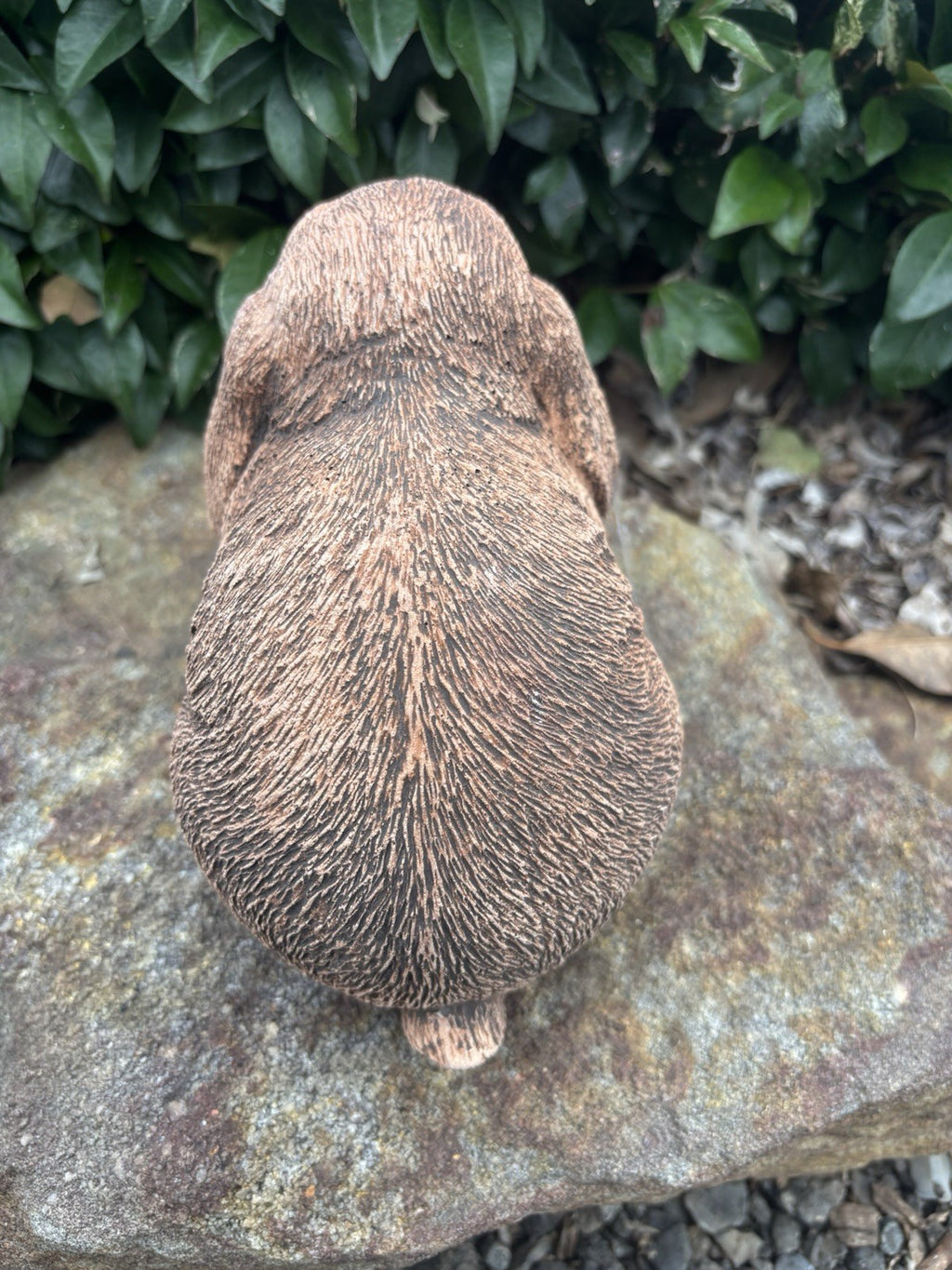 Australian Made Concrete Mini Lop Rabbit Garden Statue – Outdoor Garden Ornament
