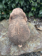Australian Made Concrete Mini Lop Rabbit Garden Statue – Outdoor Garden Ornament