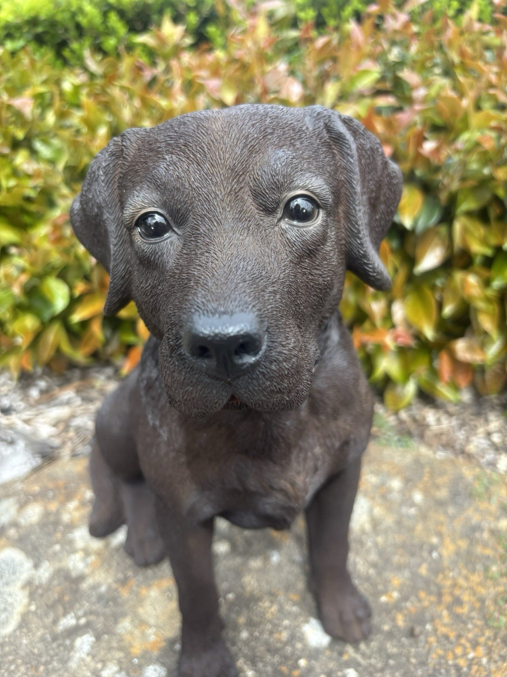 Resin Chocolate Labrador Dog Statue Garden Ornament Sitting Puppy
