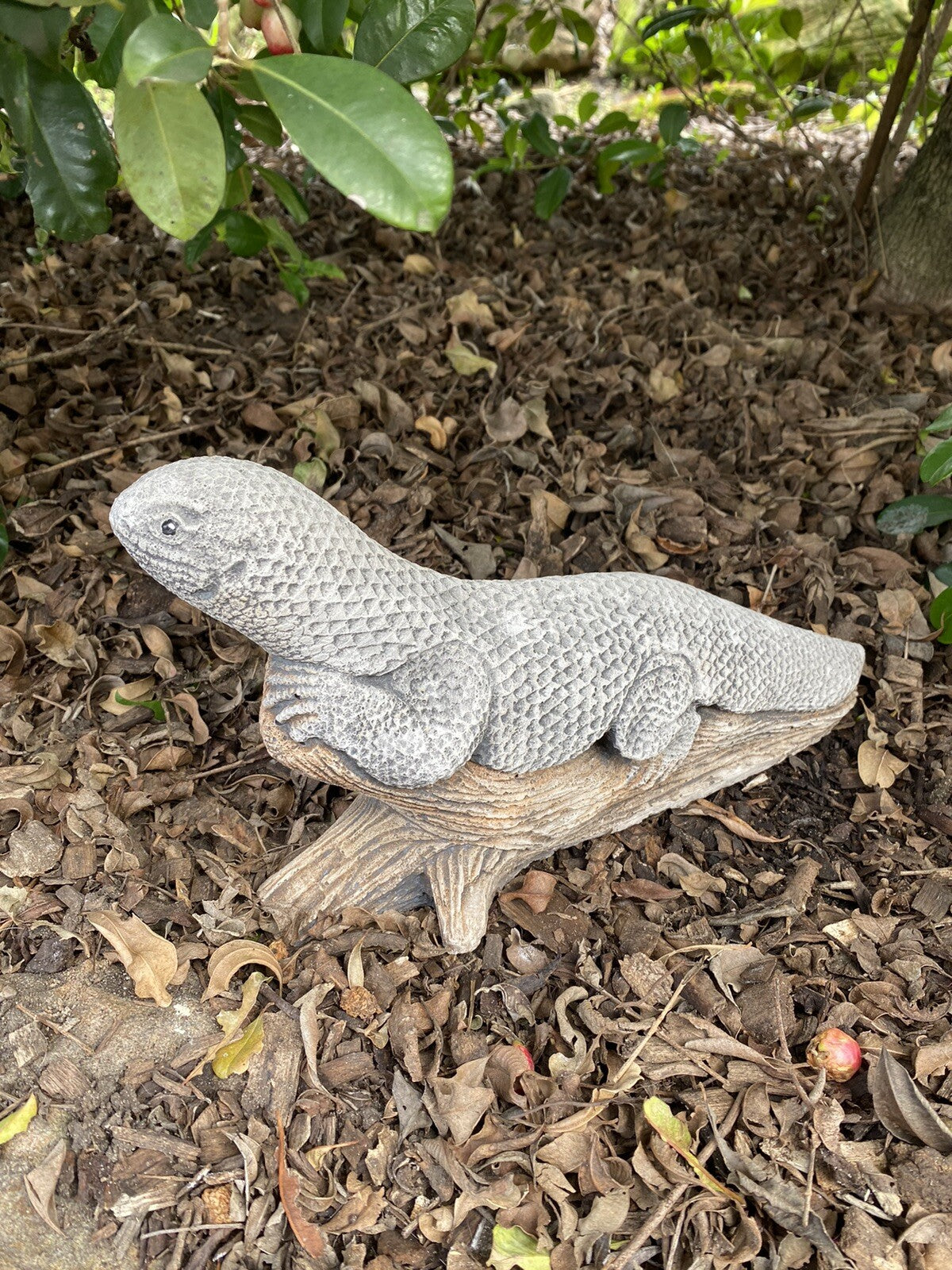 Grasslands Dragon Lizard Statue Ornament Animal Concrete Garden Australian Made
