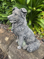 Concrete Border Collie Garden Dog Statue Ornament memorial - Australian Made