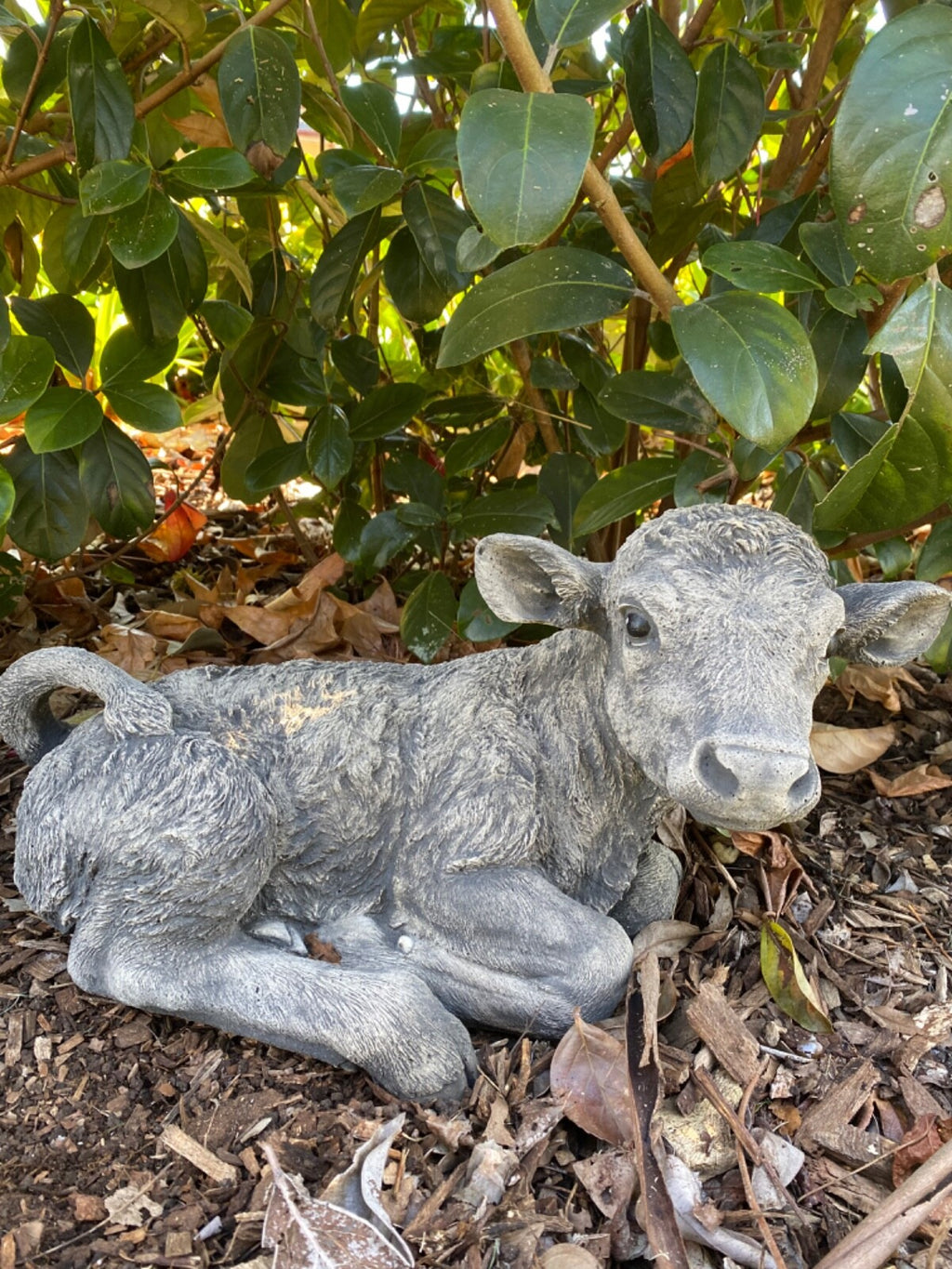 Cow Calf Statue Ornament Farm Animal Concrete Large Garden Australian Made