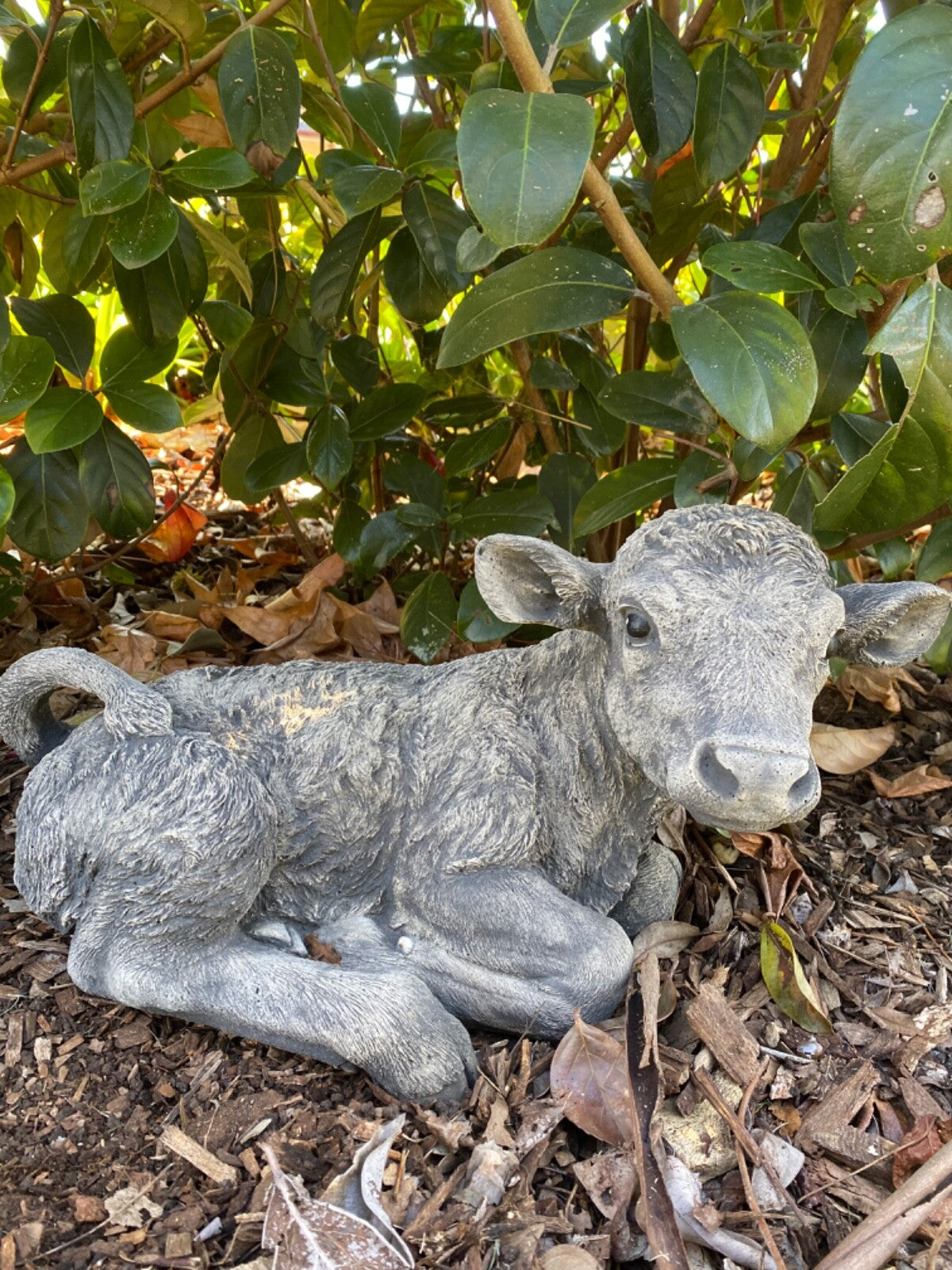 Cow Calf Statue Ornament Farm Animal Concrete Large Garden Australian Made