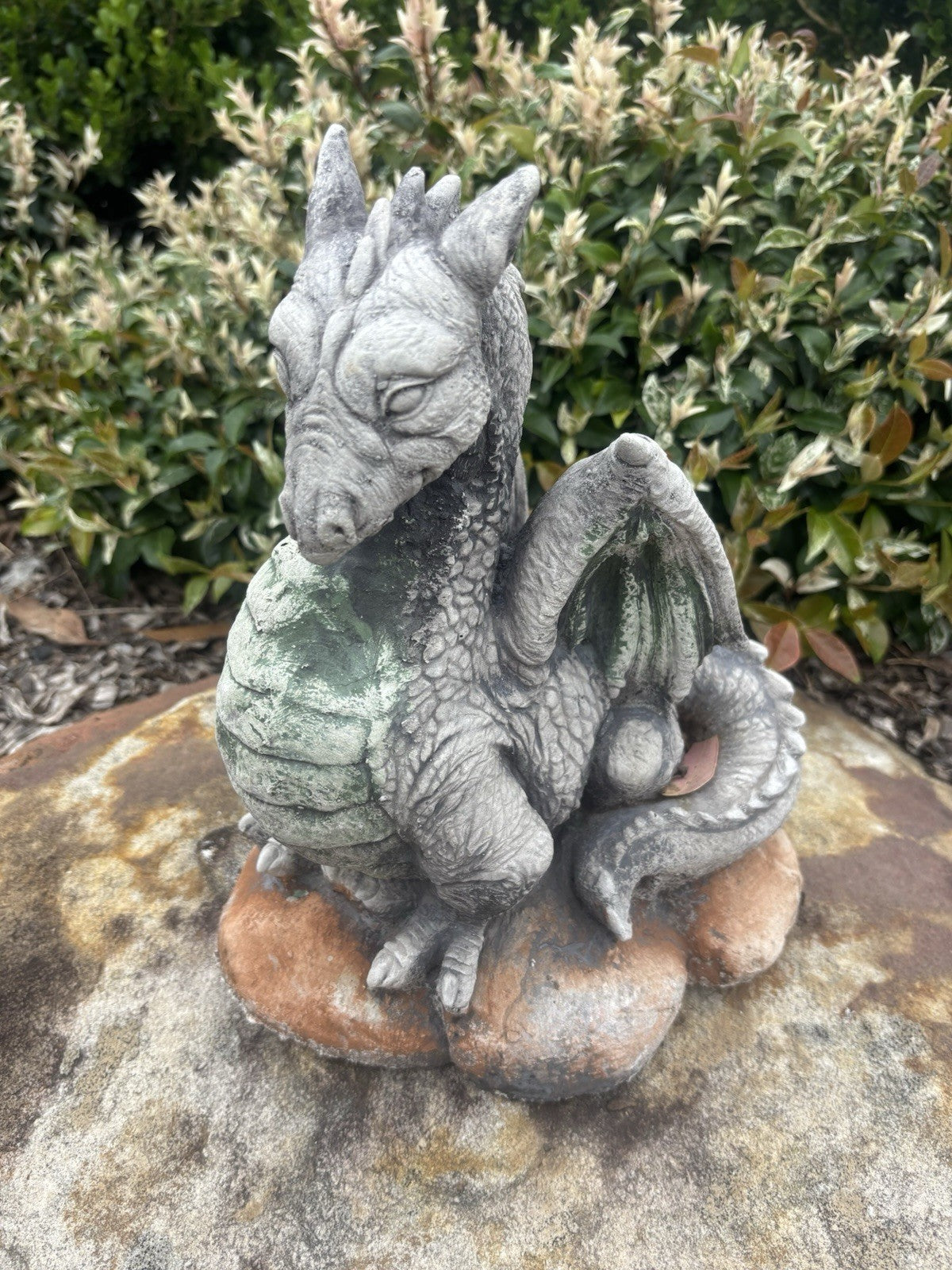 Welsh Dragon Animal Concrete Cement Garden Statue Ornament Australian Made