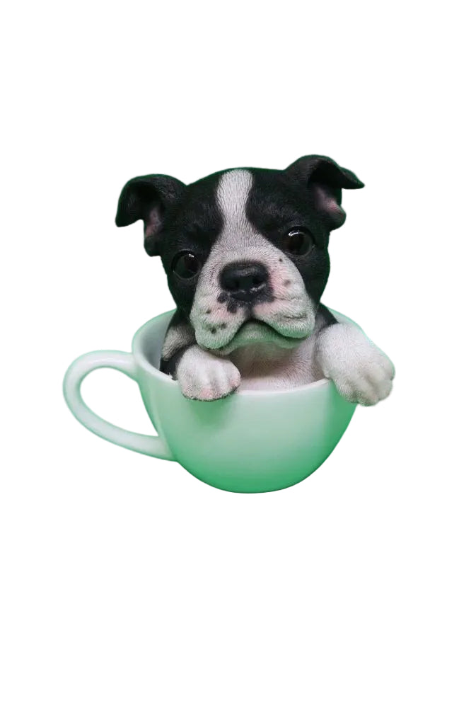 Tea cup puppies figurine Black and White Boston Terrier Dog Puppy Money box