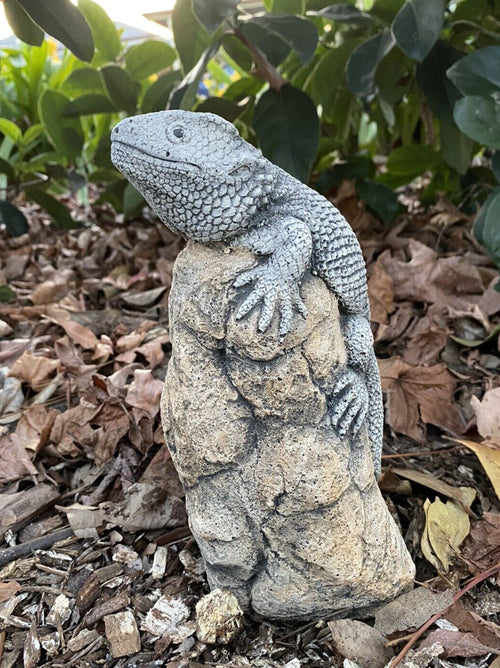 Bearded Dragon Lizard Statue Ornament Animal Concrete Garden Australian Made