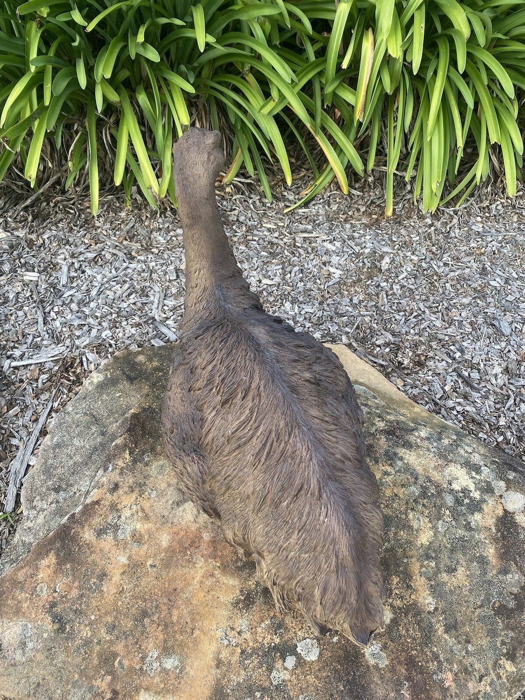 Emu Sitting Realistic Ornament Statue Garden Sculpture Décor  XLarge 65 cm