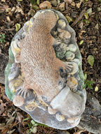 Australian Native Platypus Animal Concrete Cement Garden Statue Australian Made