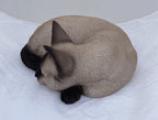 Siamese Chocolate Point Cat Kitten Garden Statue  Figurine Statue Home Decor