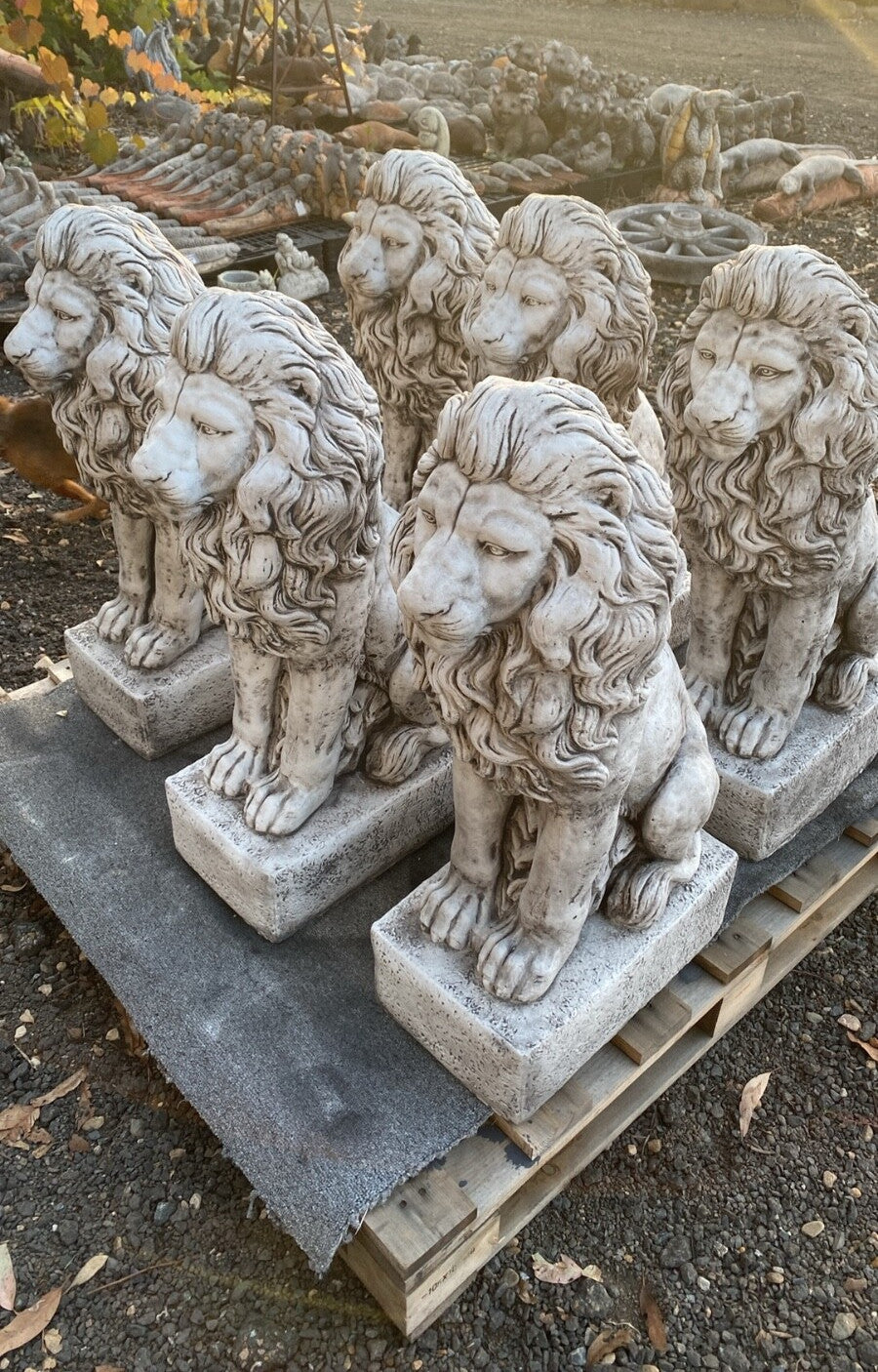 Guardian Lion Statue Concrete Cement Garden Statue Australian Made 75cm