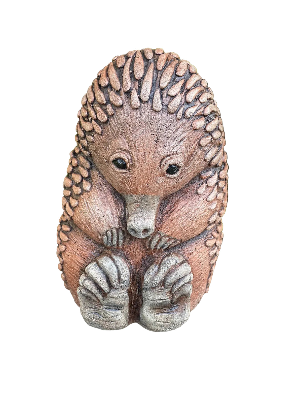 Echidna Sitting Garden Statue Ornament Animal Concrete Cement Australian Made