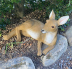 Australian Kangaroo Laying Garden Statue Ornament Figurine 69 cm
