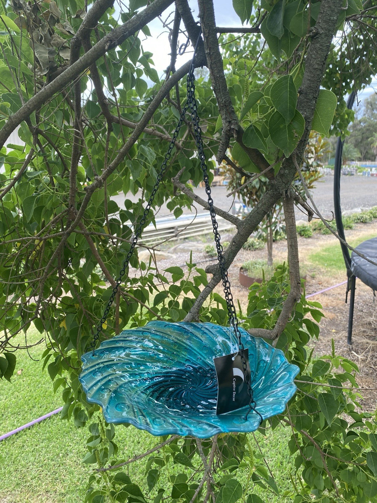 Hanging Glass Bird Feeder | Decorative Outdoor Wild Bird Feeder with Chain