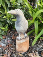 Magpie on Stump Bird Statue Ornament Animal Concrete Garden Australian Made