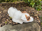 Jack Russell Fox Terrier Dog Memorial Garden Statue