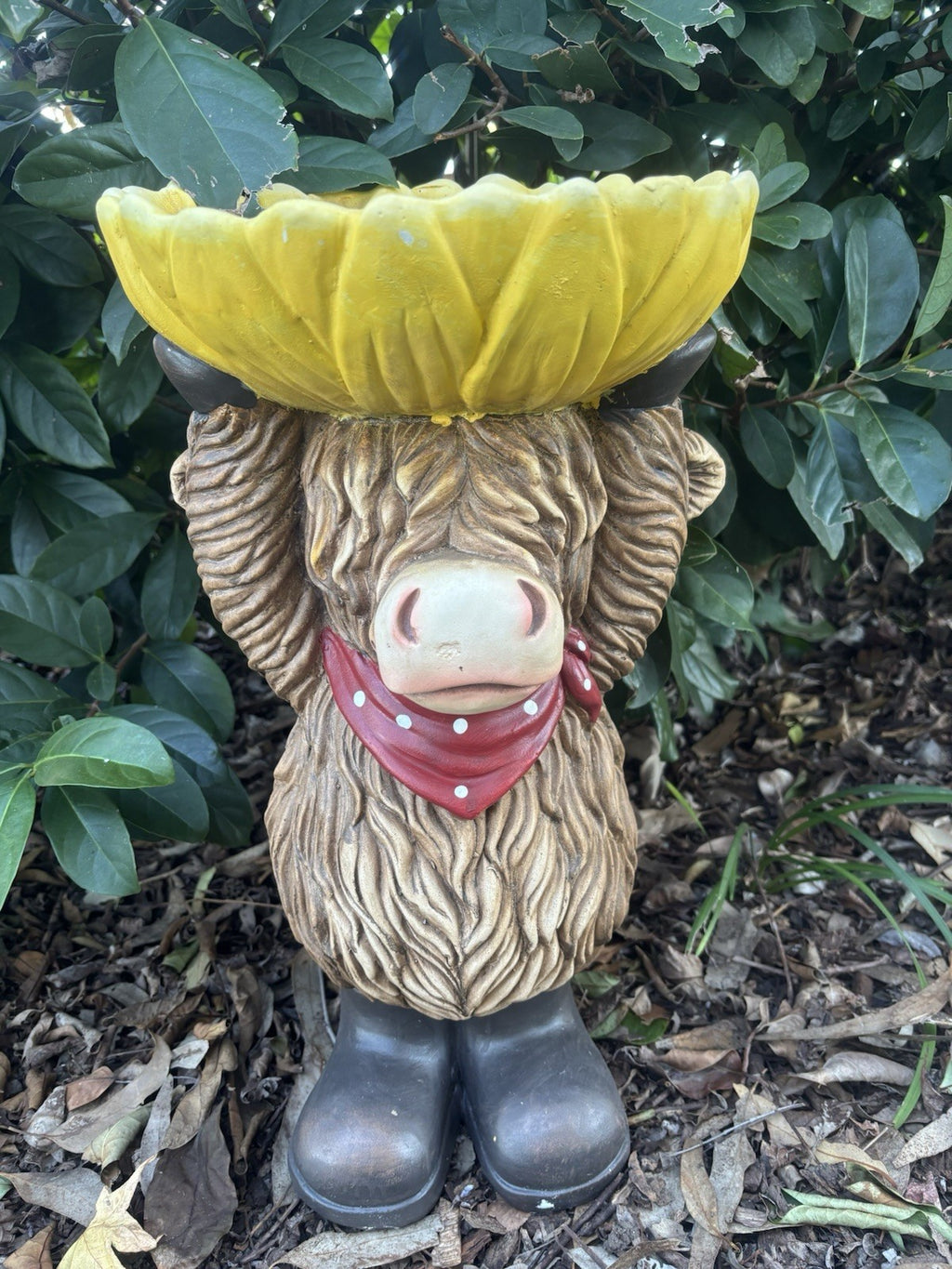 Highland Cow Bird Feeder | Outdoor Garden Bird Bath & Feeder Ornament