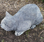 Cat Kitten Tabby Memorial Statue Ornament Animal Concrete Garden Australian Made
