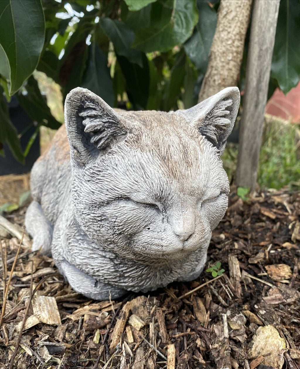 Cat Statue Memorial Sleeping Kitten Grey Animal Concrete Cement Australian Made